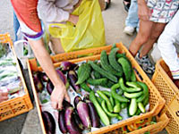 夏野菜のおみやげまでいただき、ありがとうございました