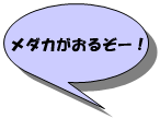 メダカがおるぞー!