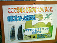 御船町恐竜博物館