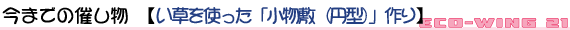 ܂ł̍Â@ygu~i~^jvz