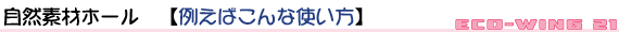 自然素材ホール 【例えばこんな使い方】